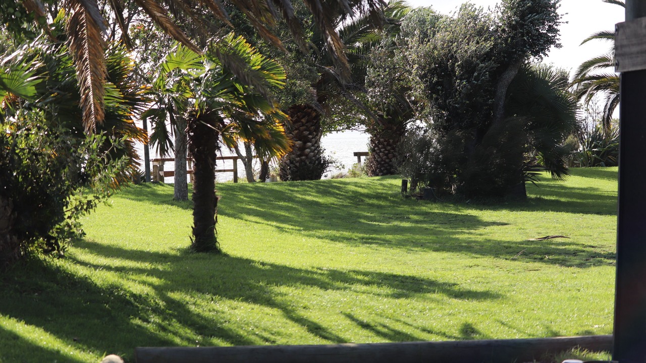 Photo of Outdoor in Whakamarama