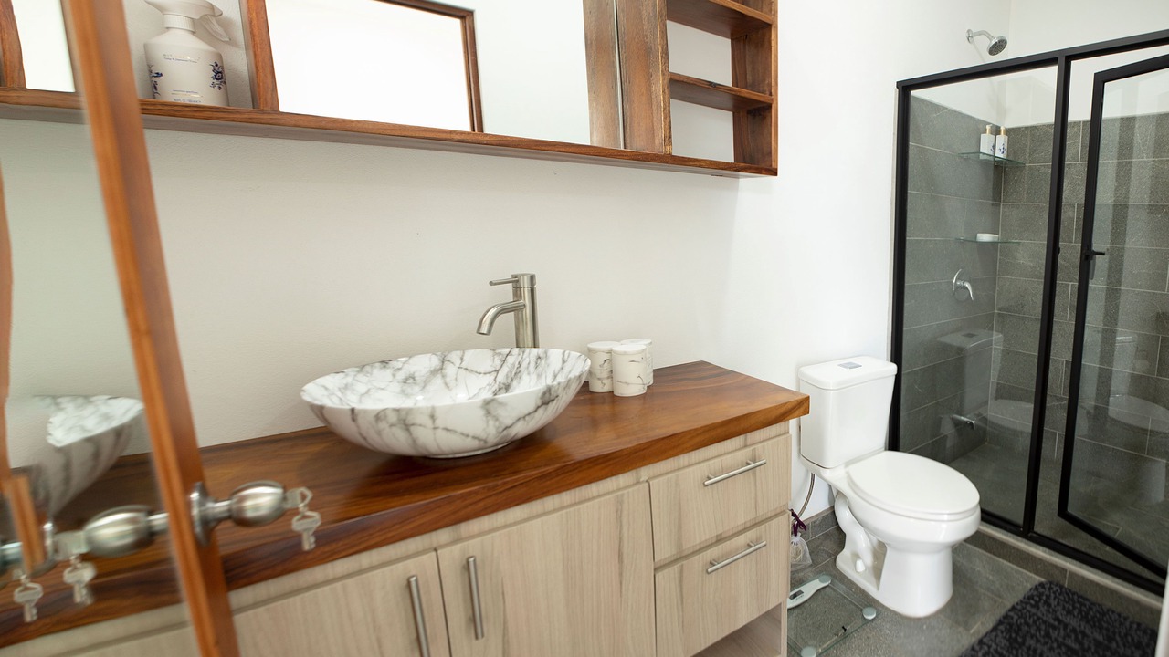 Photo of Bathroom in Pavas