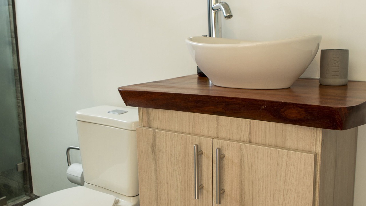 Photo of Bathroom in Pavas