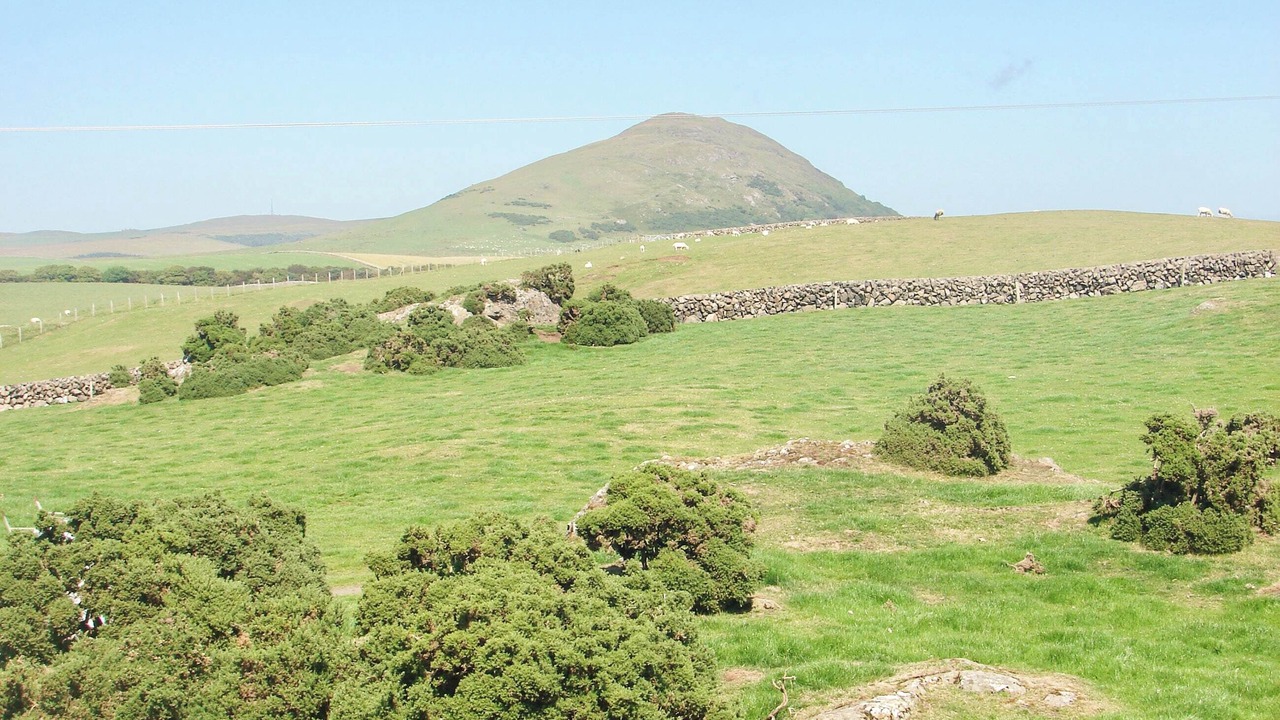 Photo of Others in Ballantrae