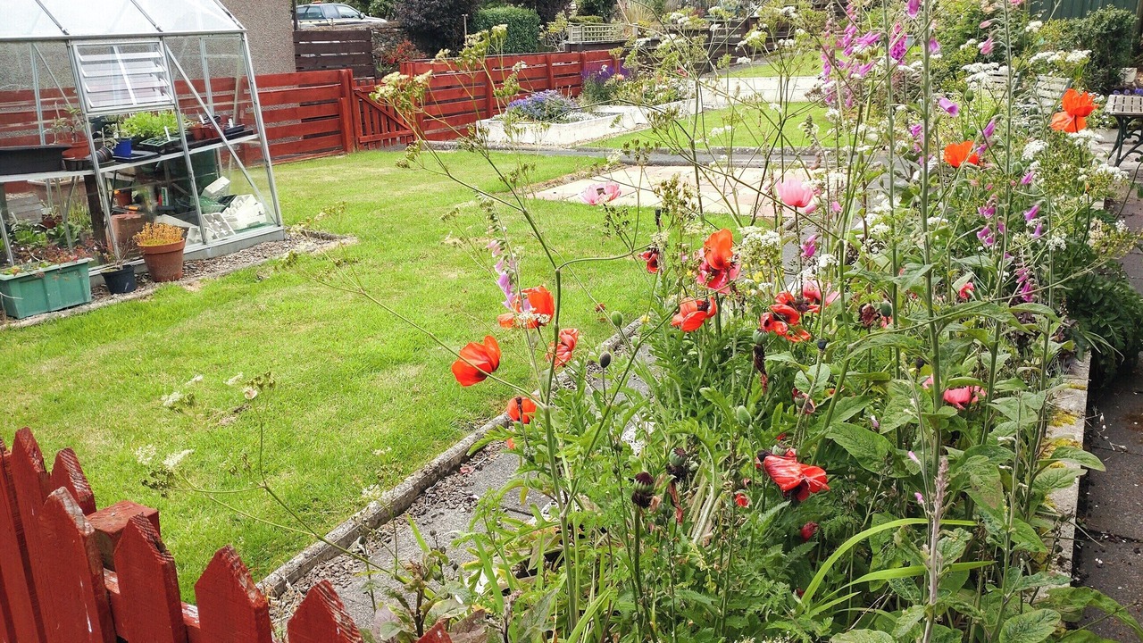Photo of Outdoor in Ballantrae