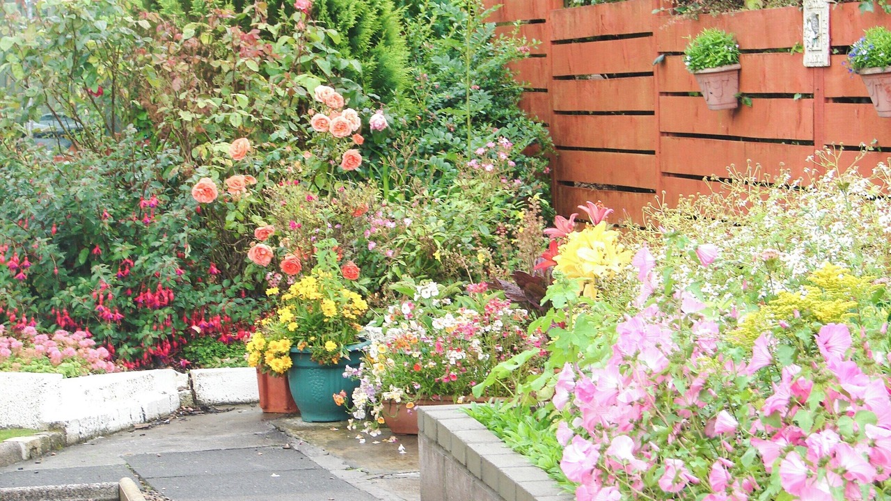 Photo of Outdoor in Ballantrae
