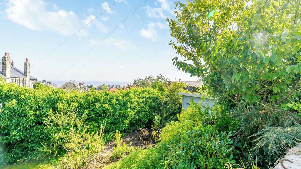 Photo of Others in Pettycur
