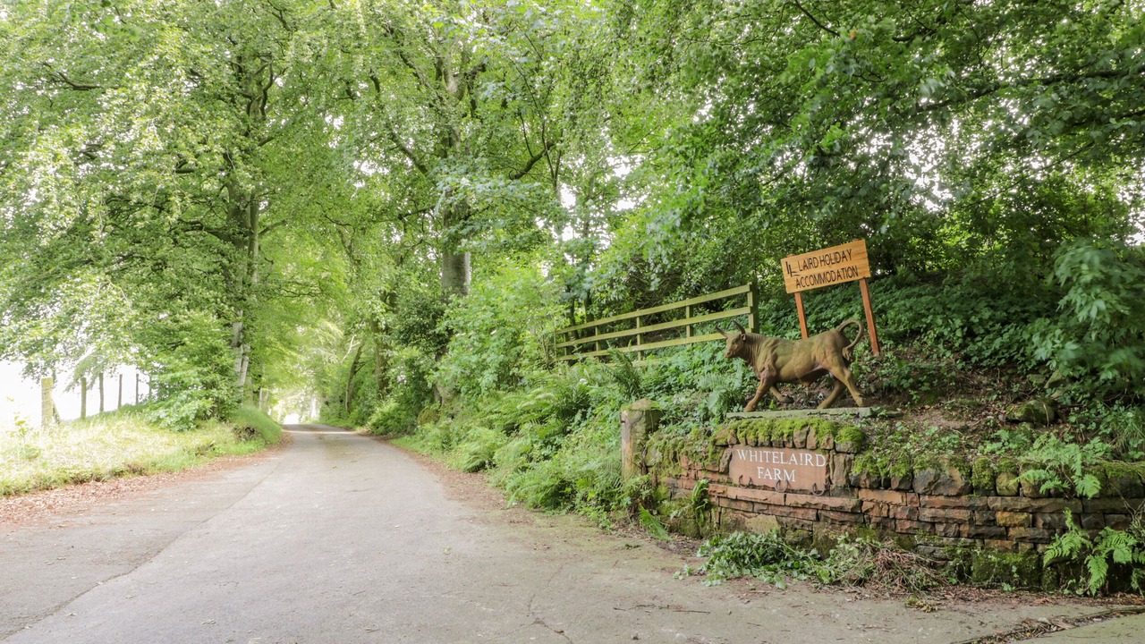 Photo of Outdoor in Lochmaben