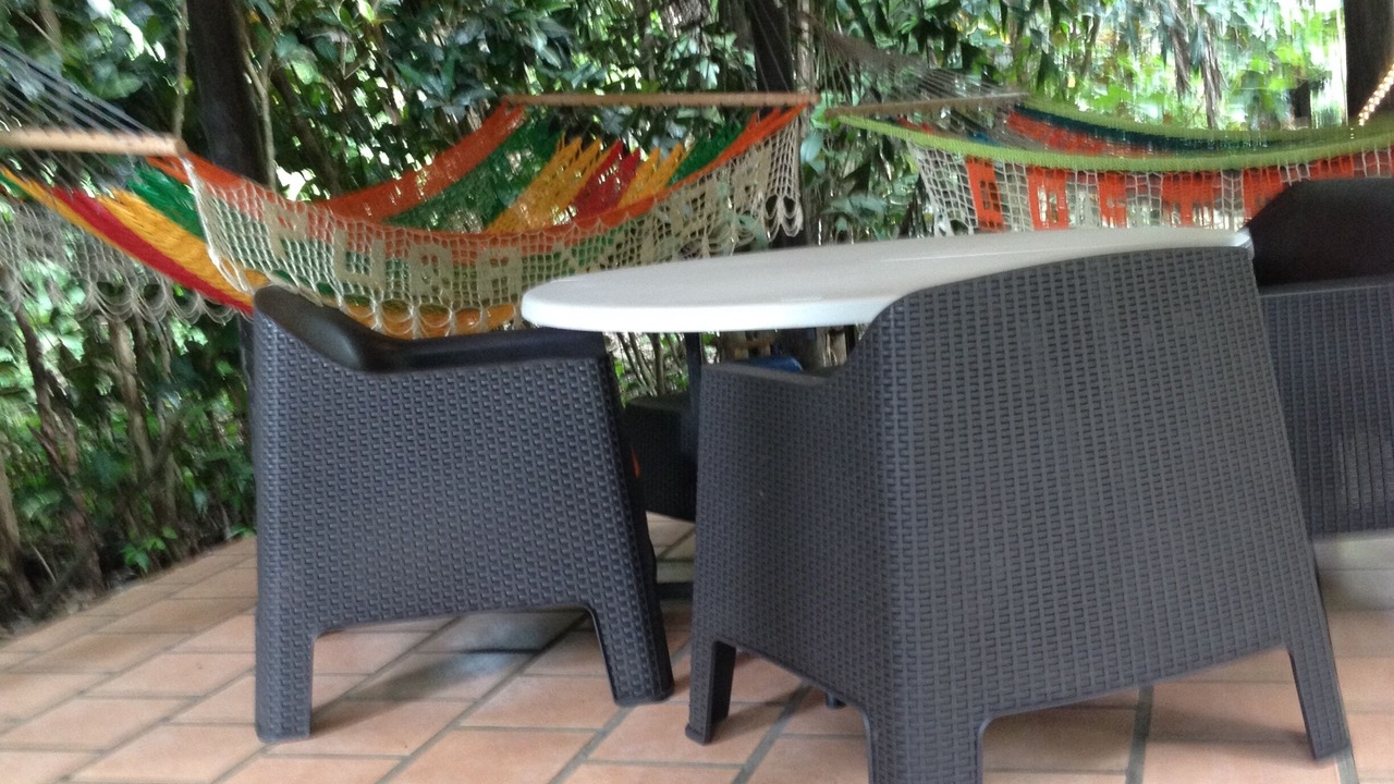 Photo of Outdoor in Playa Matapalo