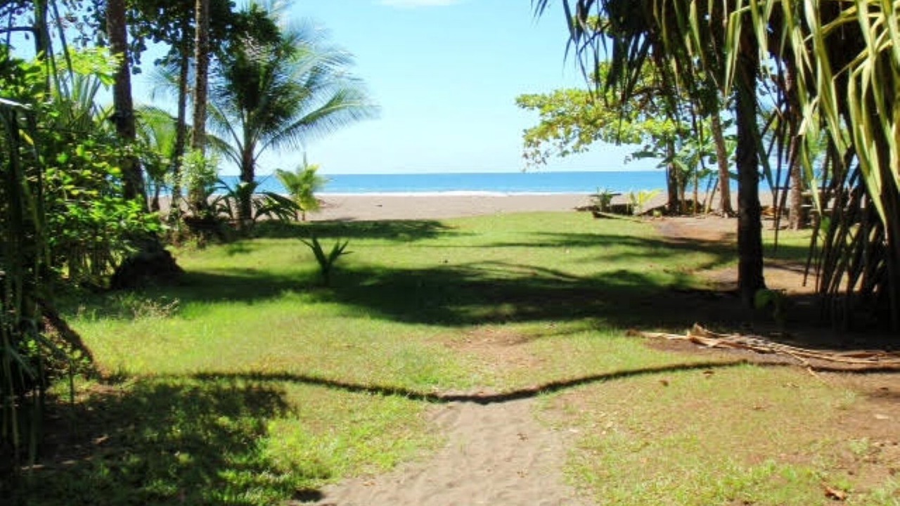 Photo of Others in Playa Matapalo