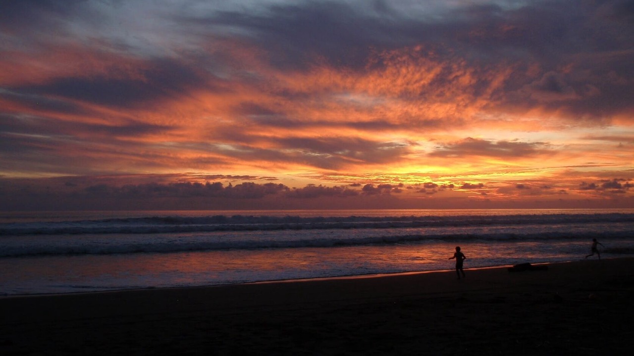 Photo of Others in Playa Matapalo