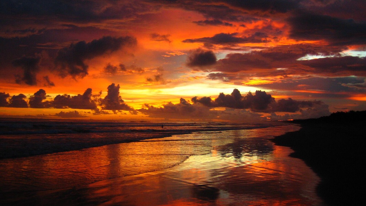 Photo of Others in Playa Matapalo