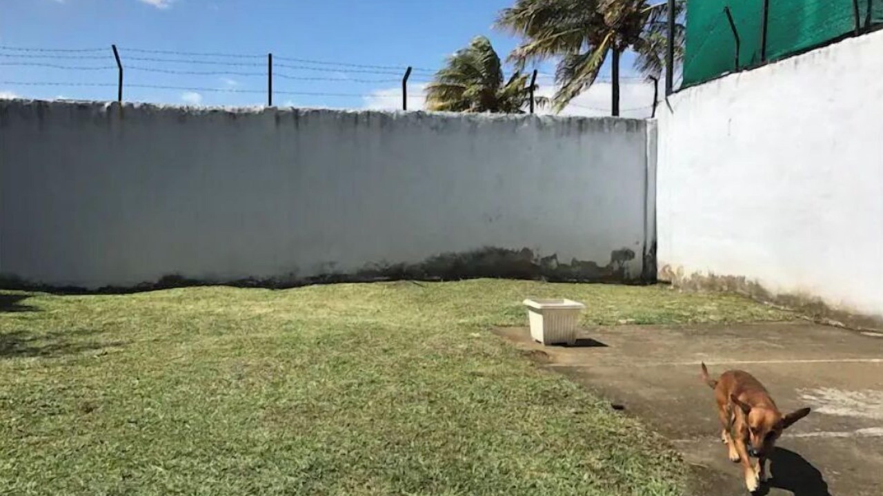 Photo of Outdoor in Mata Redonda