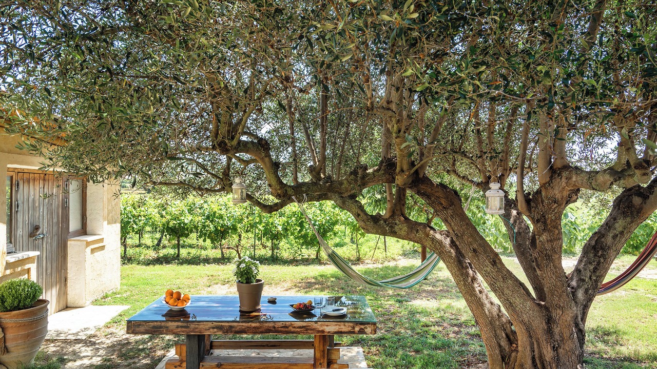 Photo of Outdoor in Kefalonia