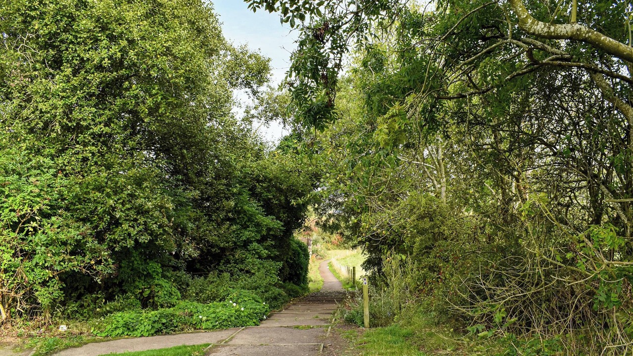 Photo of Outdoor in Lochgelly