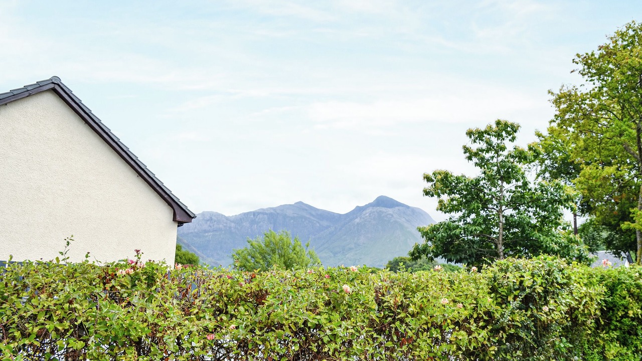 Photo of Others in Glencoe