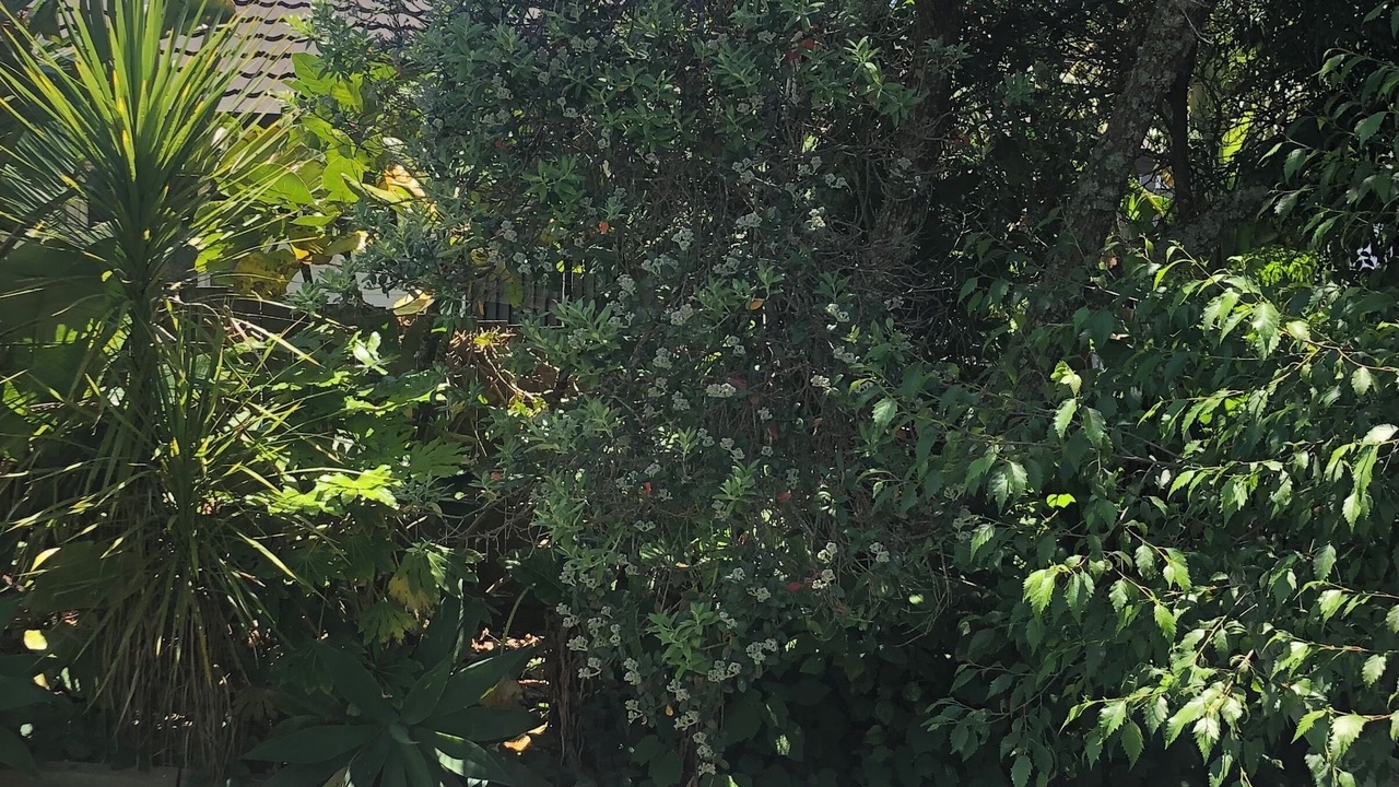 Photo of Outdoor in Stanmore Bay