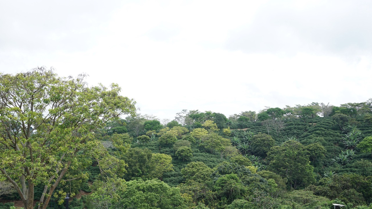 Photo of Others in San Isidro