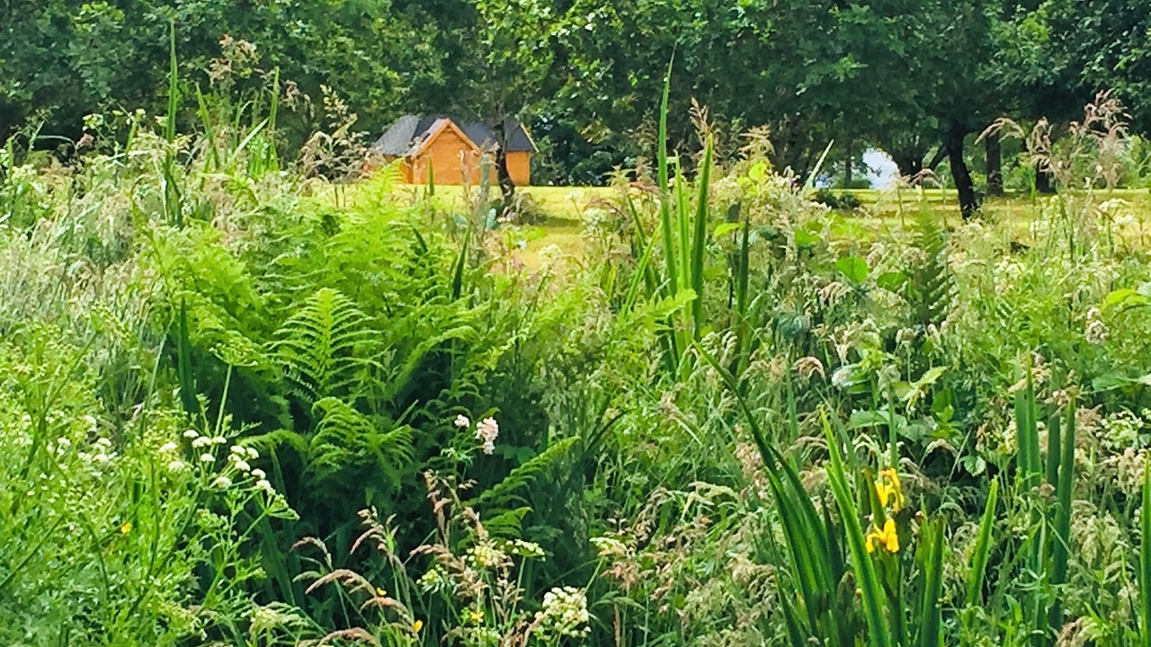 Photo of Outdoor in Cairndow