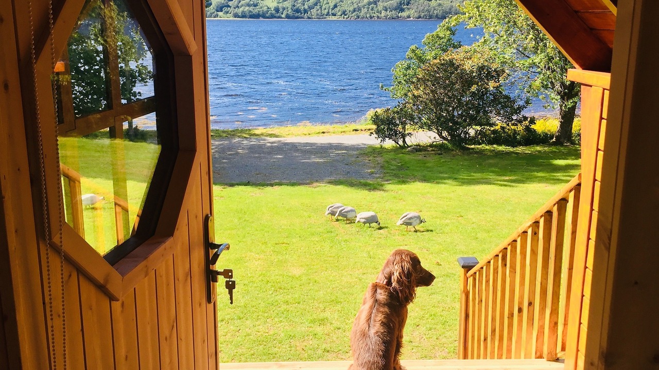 Photo of Outdoor in Cairndow