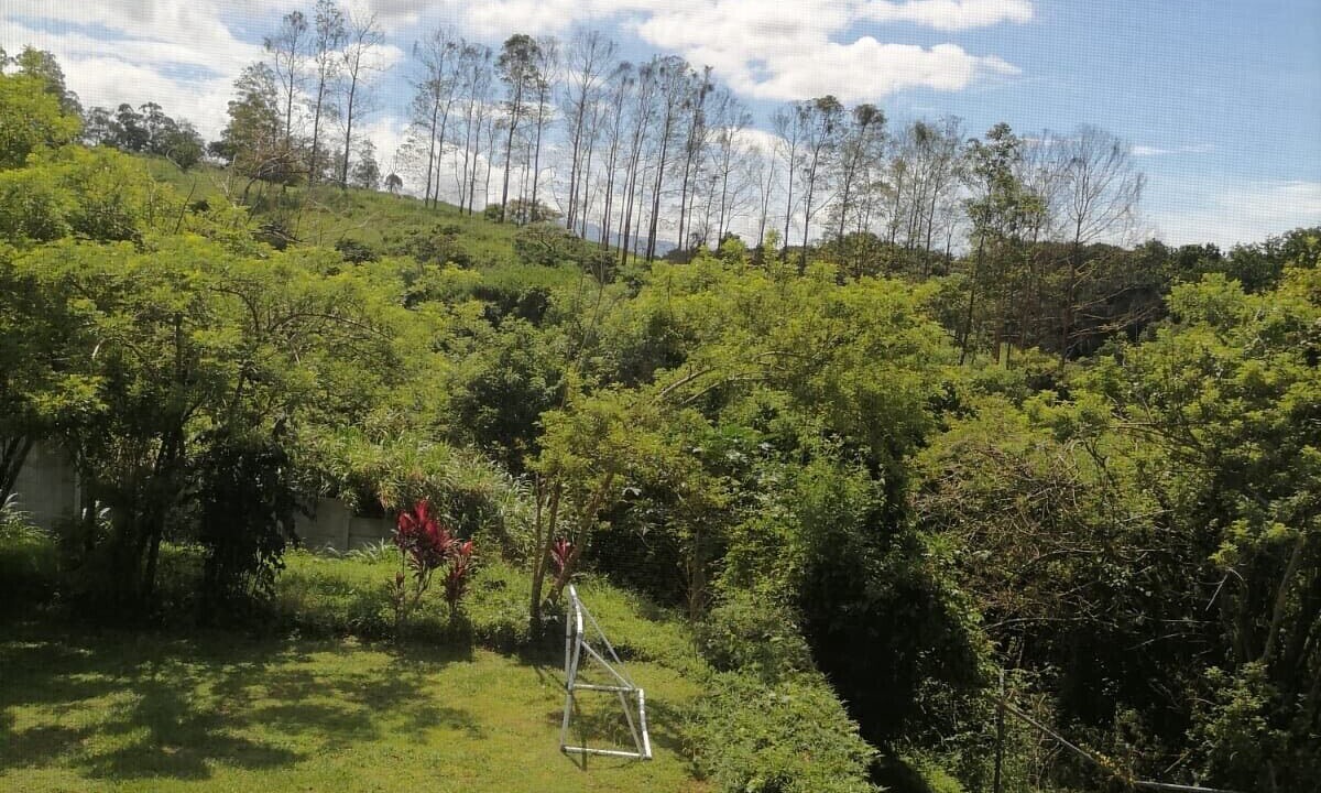 Photo of Outdoor in Puente de Piedra