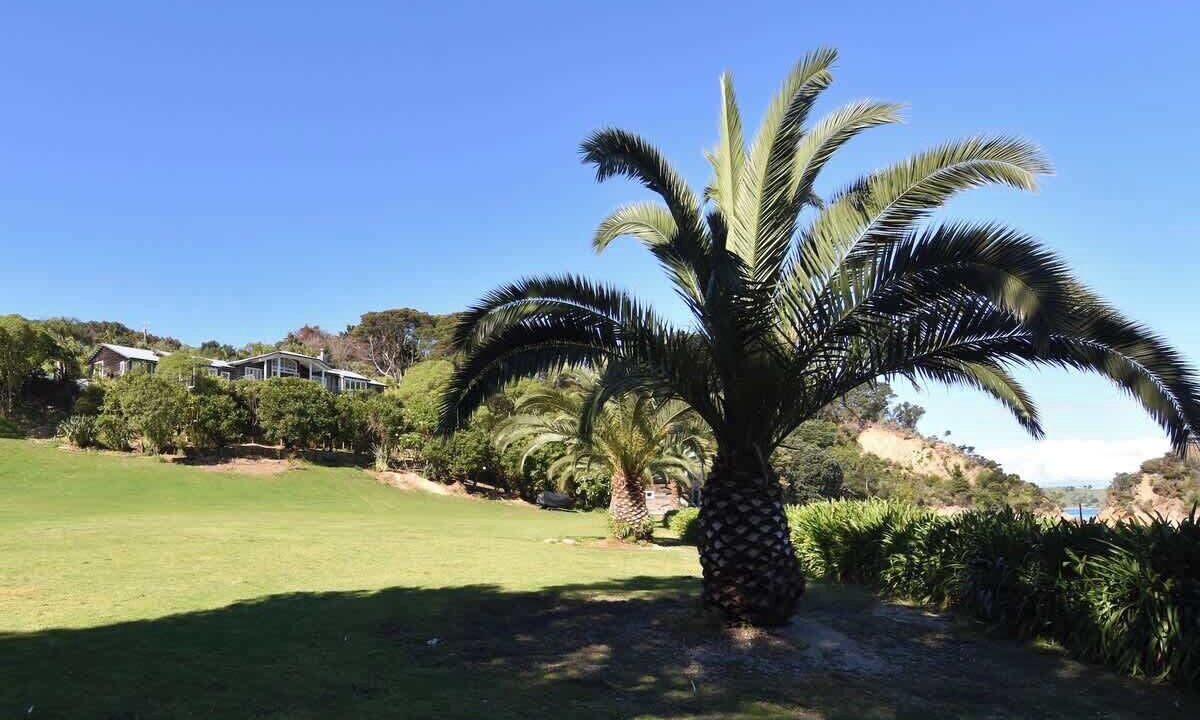 Photo of Outdoor in Waiheke Island