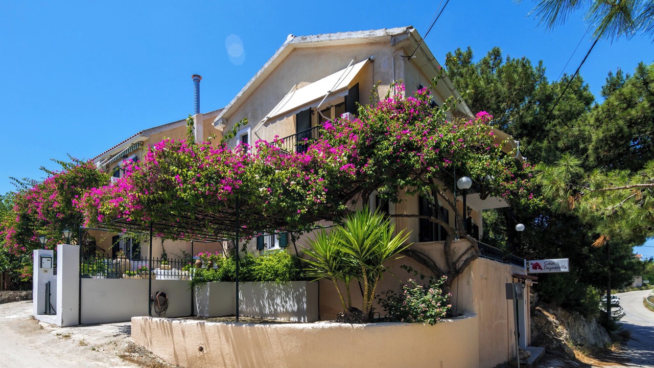 Photo of Outdoor in Minia