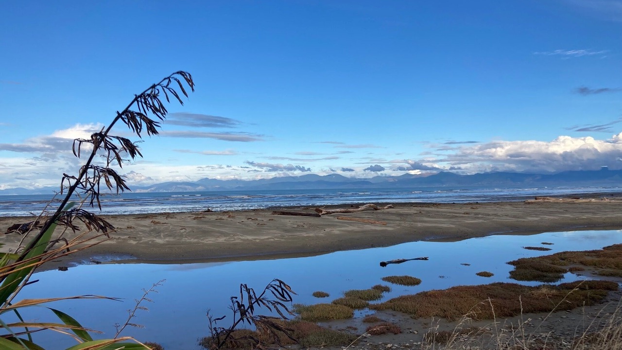 Photo of Others in Motueka