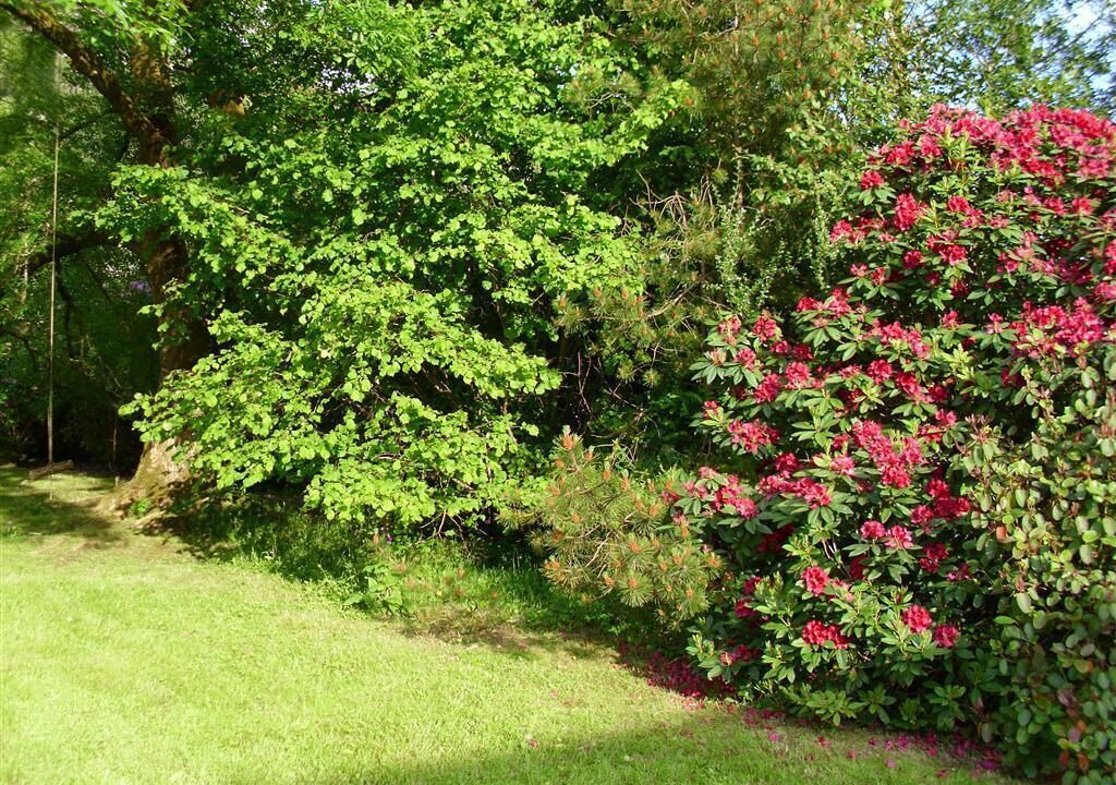 Photo of Outdoor in Cairndow