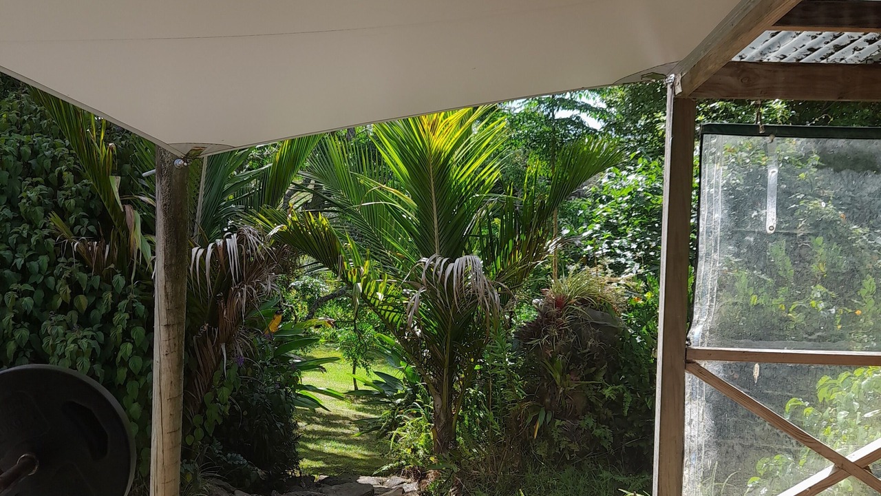 Photo of Patio Balcony in Waipapa