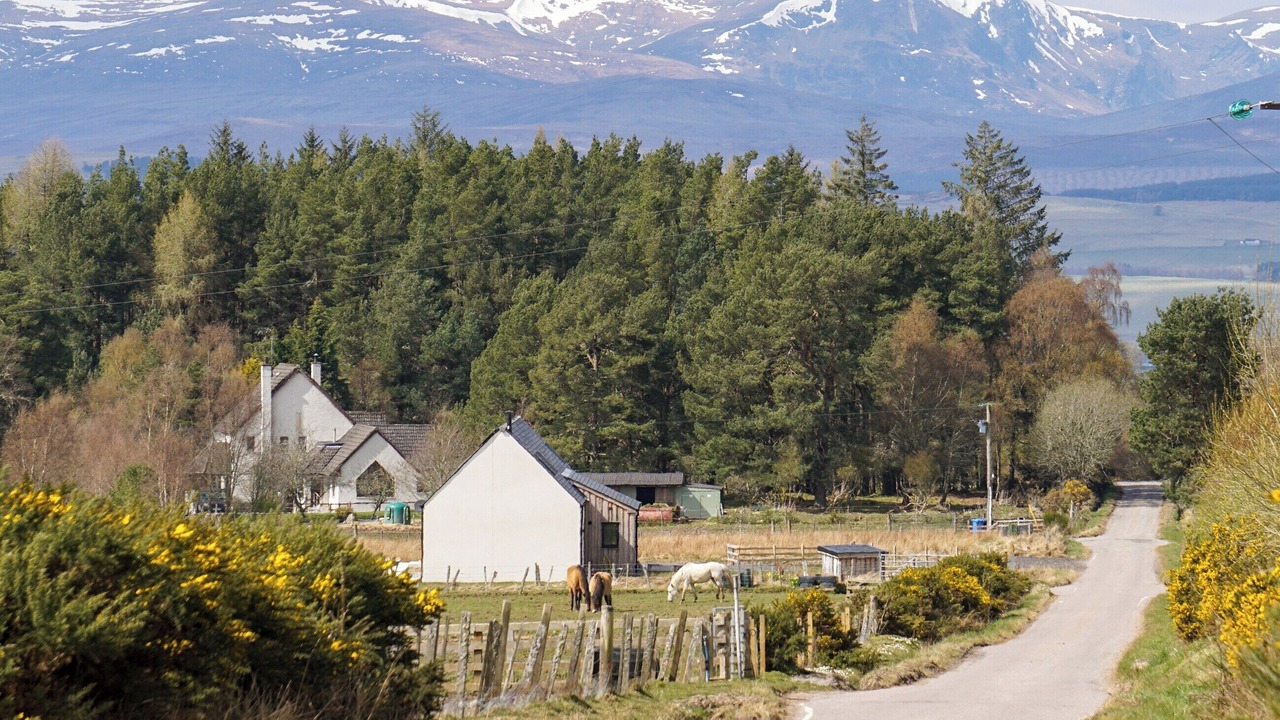 Photo of Others in Dingwall