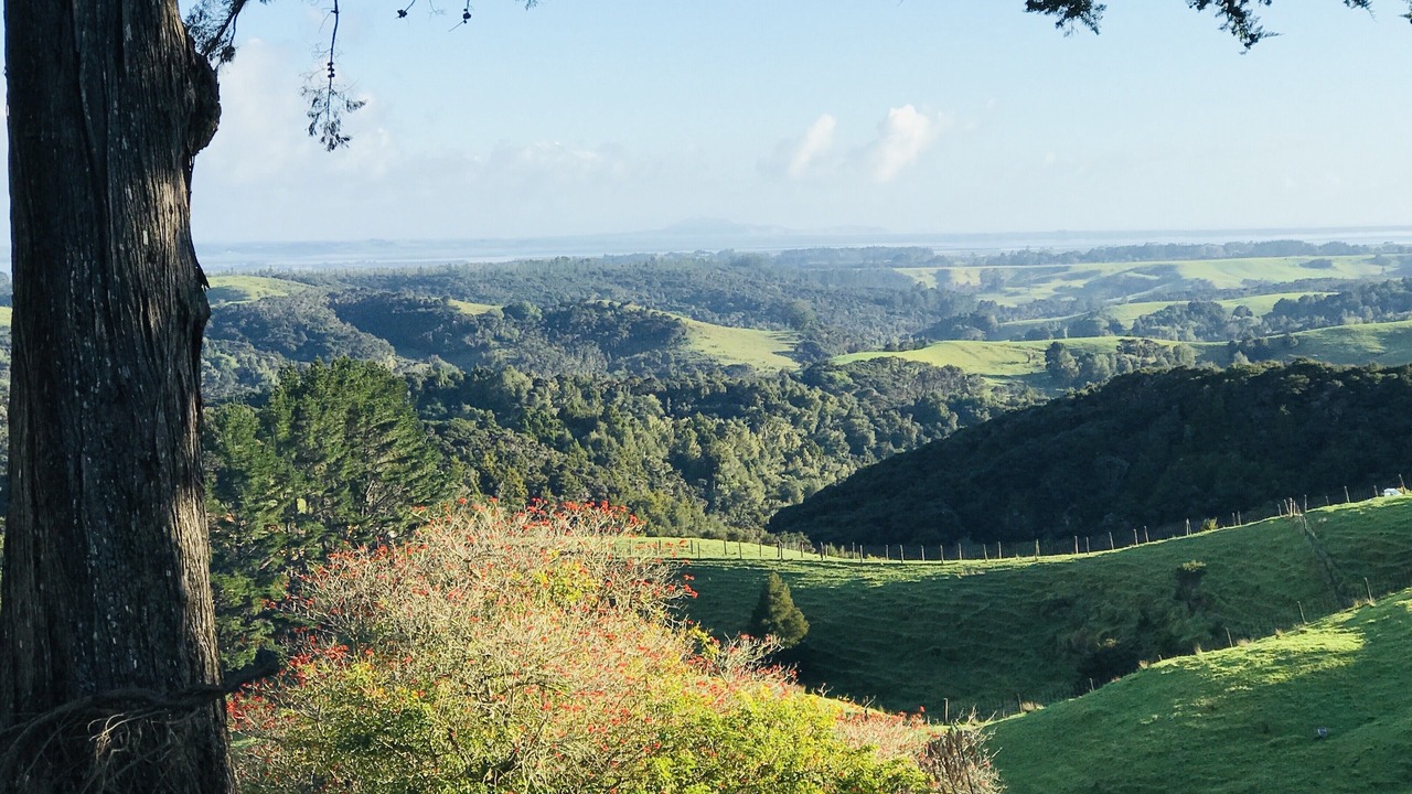 Photo of Outdoor in Kaitaia
