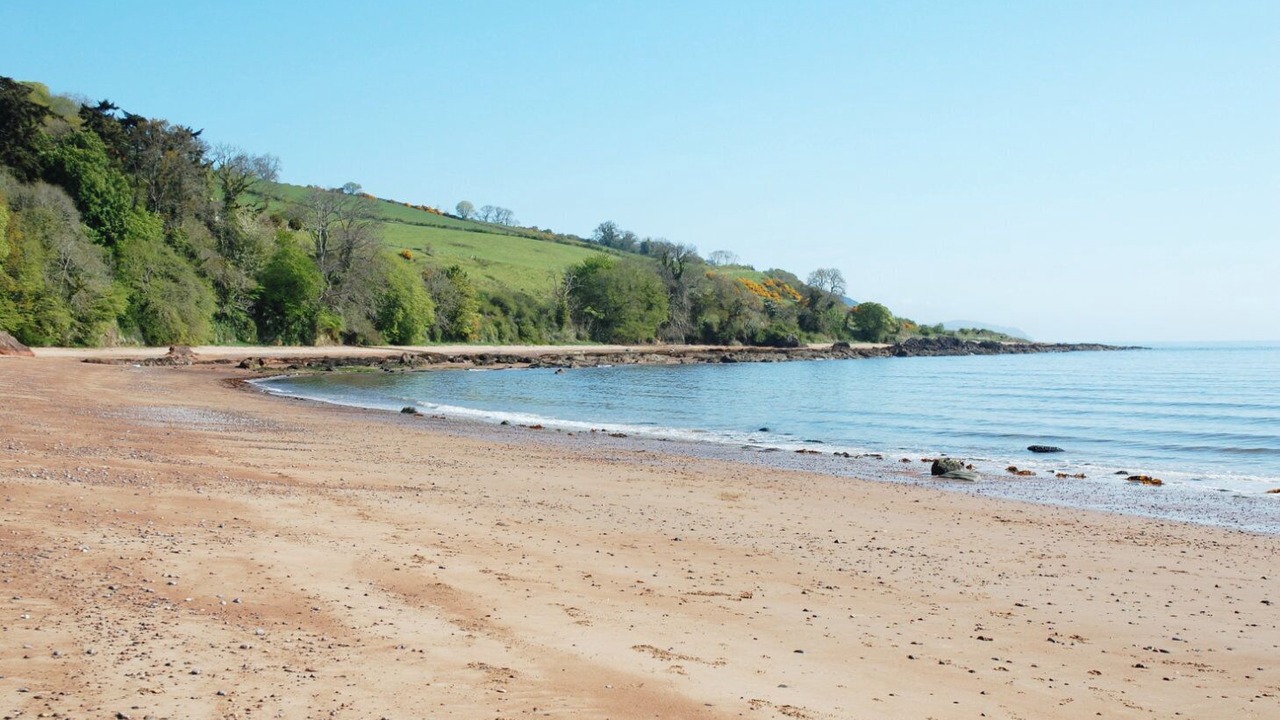Photo of Others in Fortrose