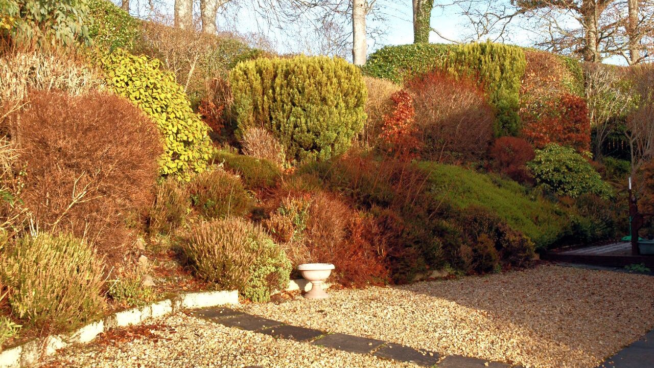 Photo of Outdoor in Fortrose