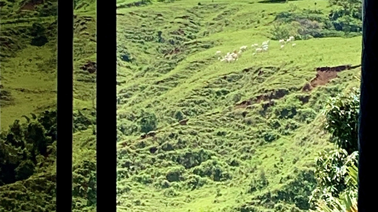 Photo of Others in Alajuela