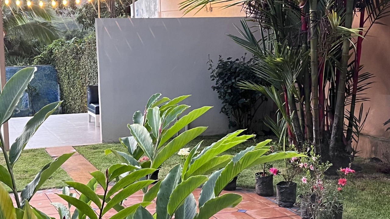 Photo of Outdoor in Alajuela