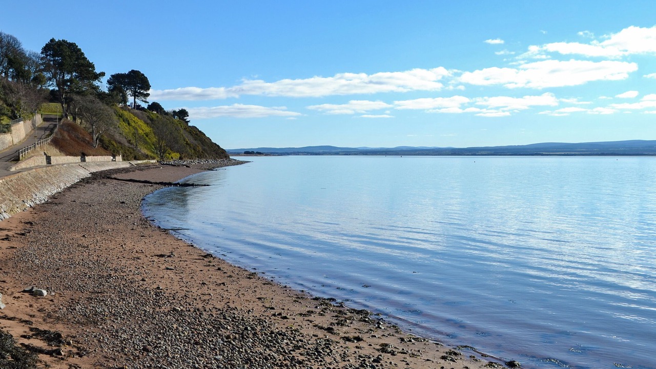Photo of Others in Fortrose