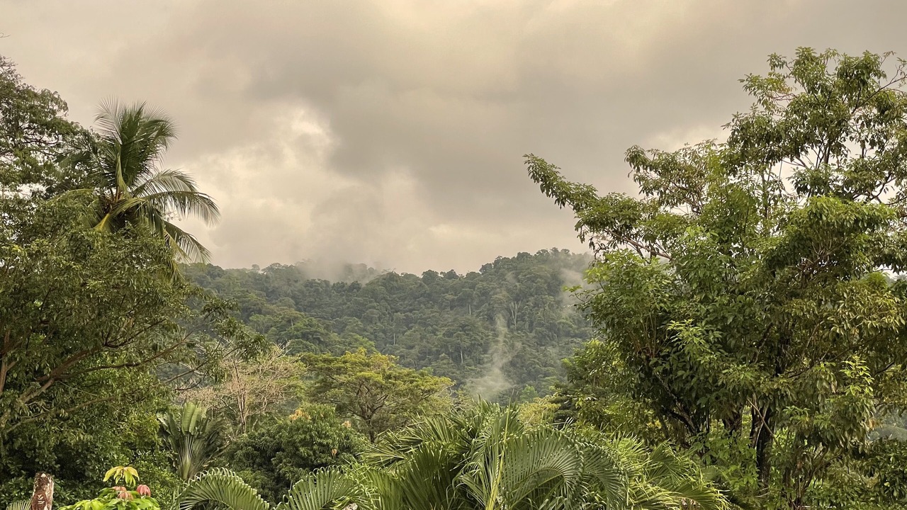 Photo of Outdoor in Cerro Plano