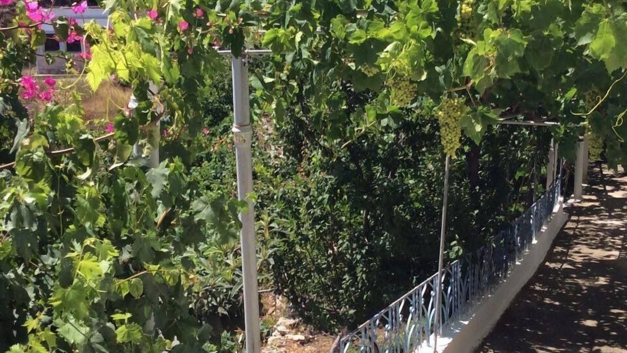 Photo of Outdoor in Karpathos