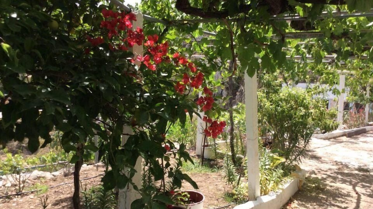 Photo of Outdoor in Karpathos