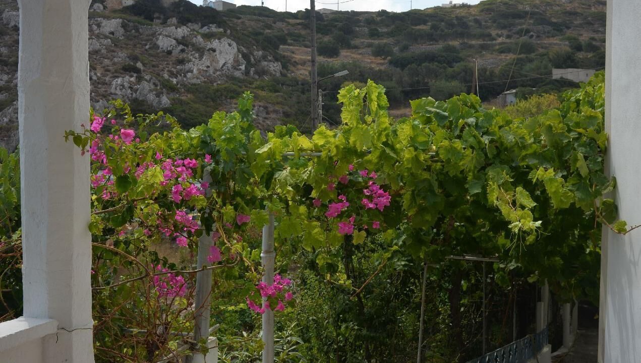 Photo of Outdoor in Karpathos
