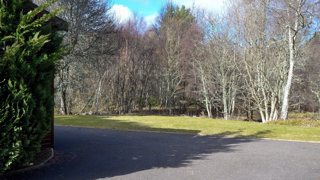 Photo of Others in Dinnet