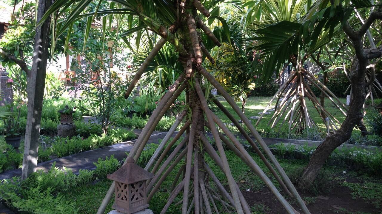 Photo of Others in Purwakerti