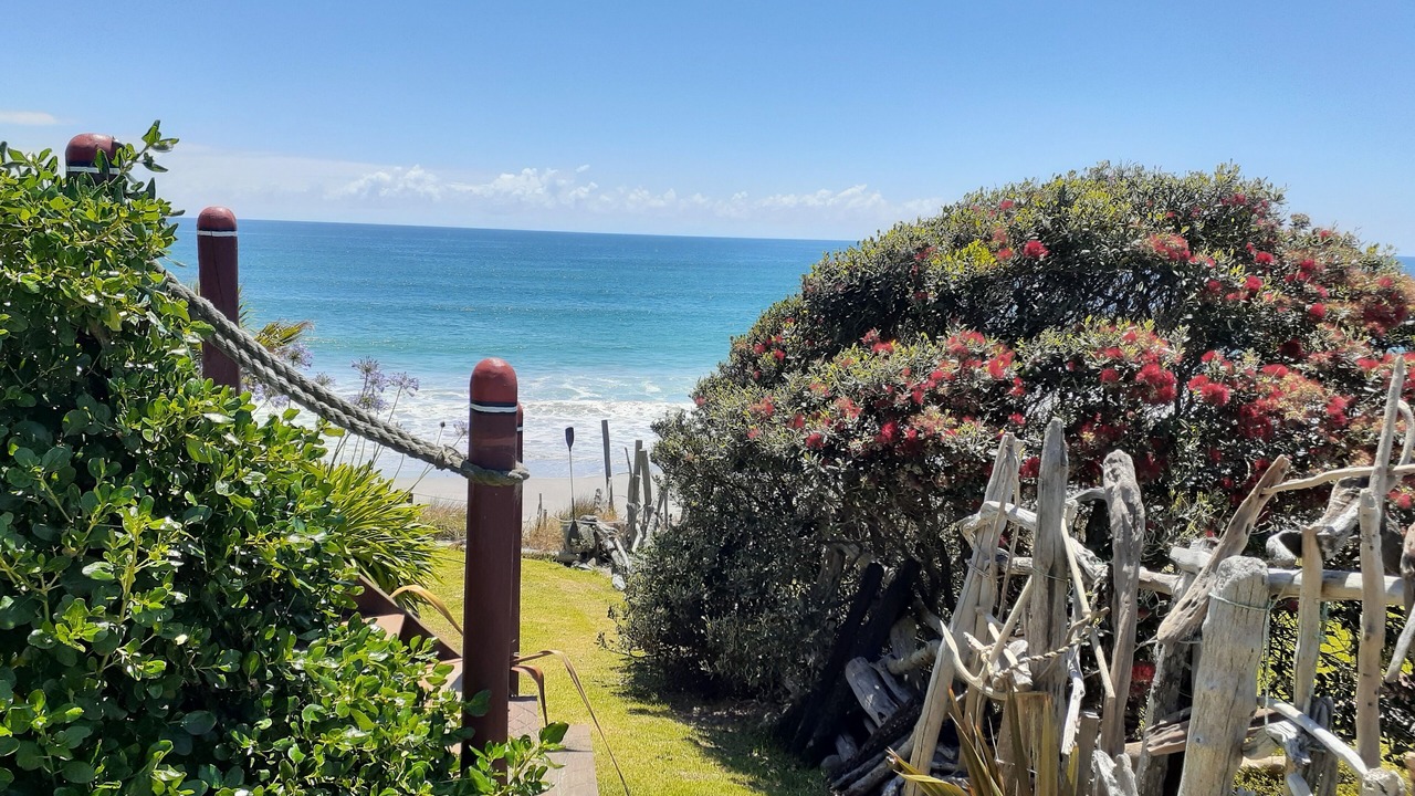 Photo of Others in Pukehina