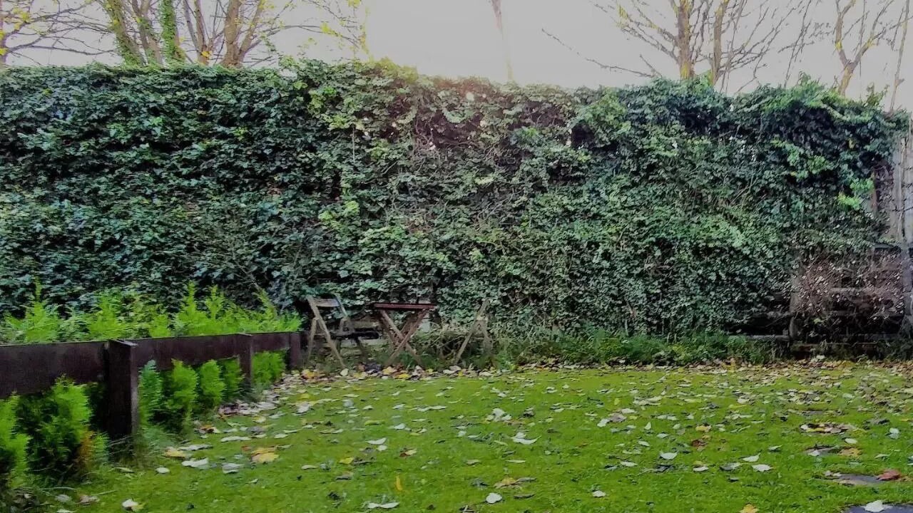 Photo of Outdoor in Paisley
