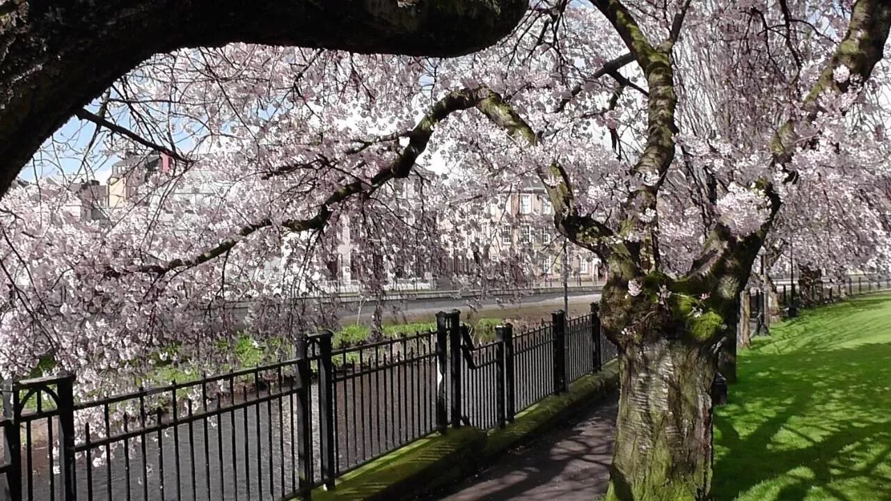 Photo of Outdoor in Paisley
