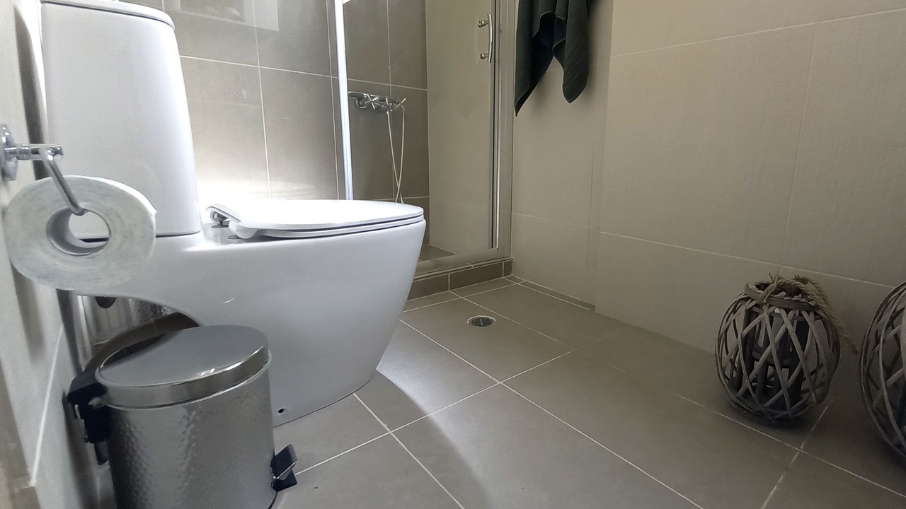 Photo of Bathroom in Mires