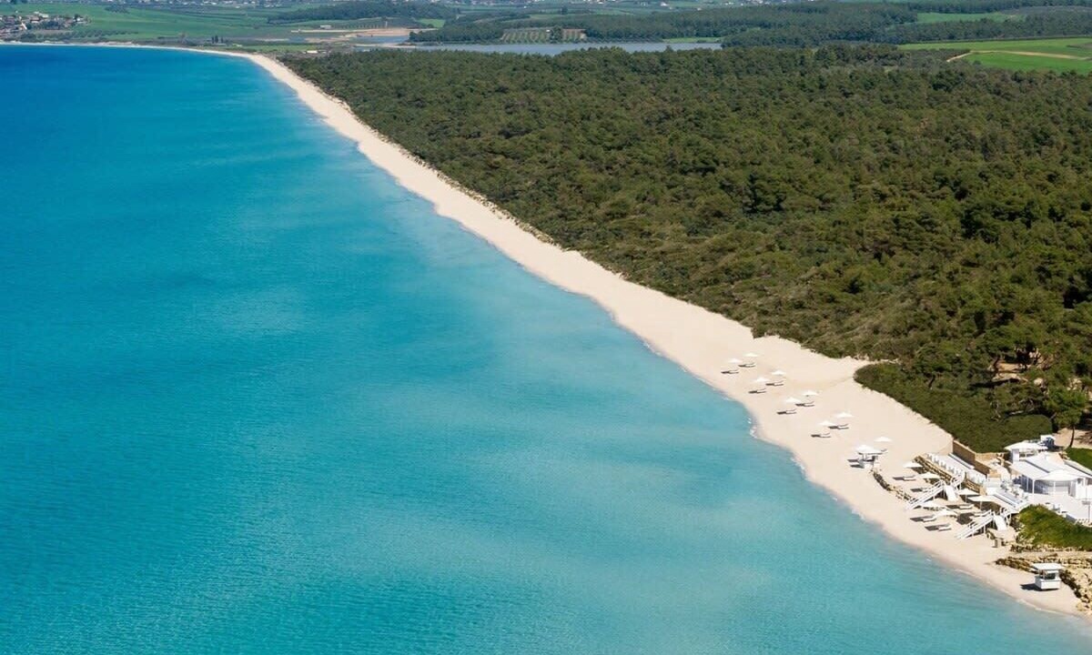 Photo of Others in Sane