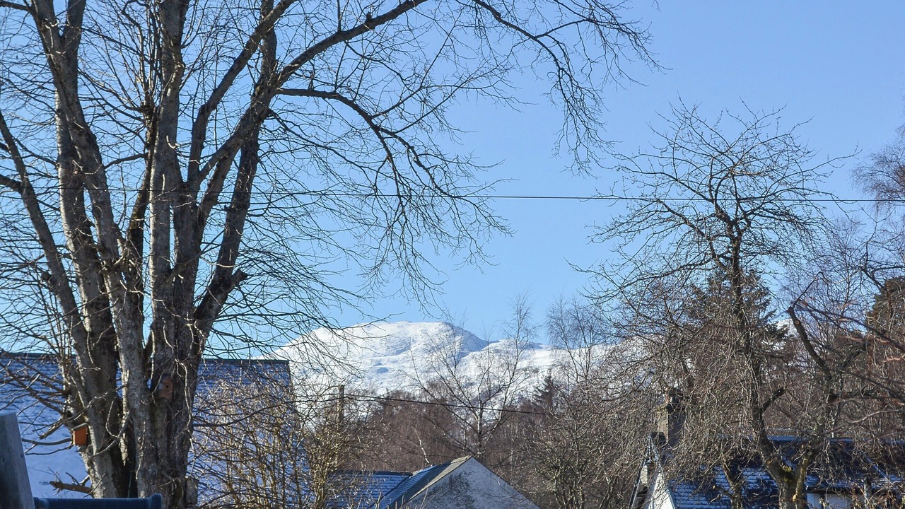 Photo of Others in Newtonmore