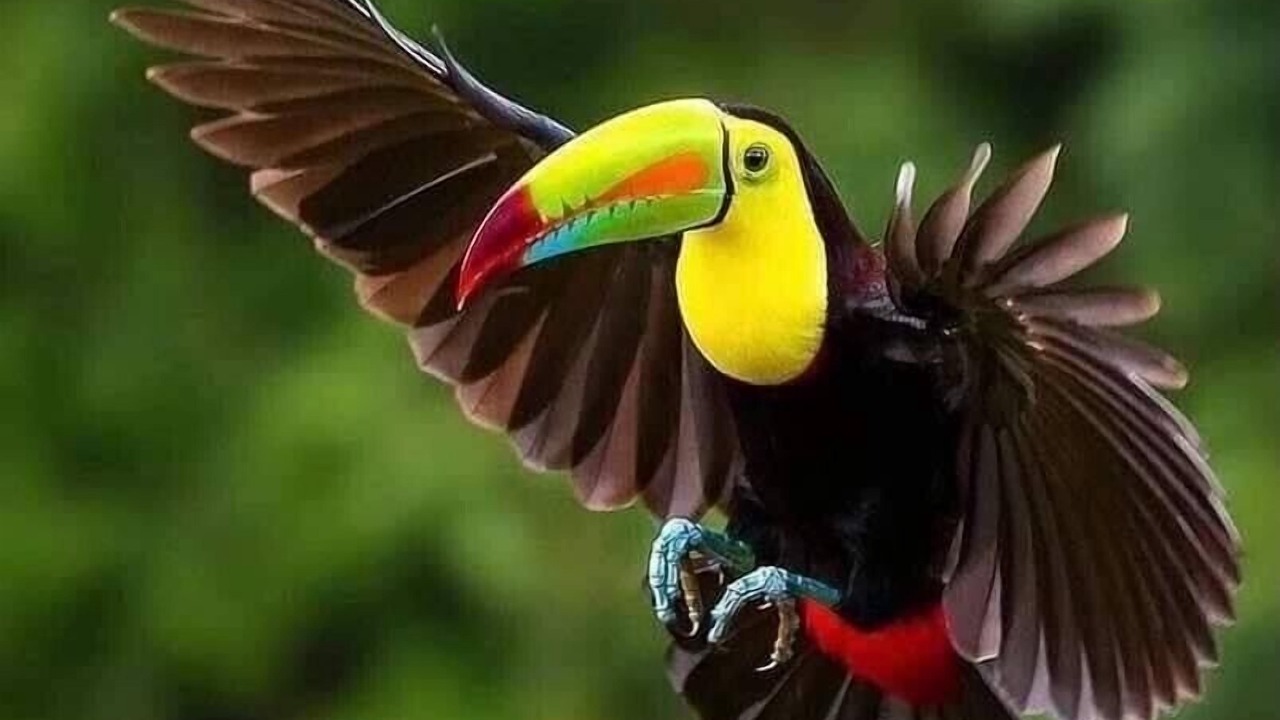 Photo of Outdoor in Punta Uva