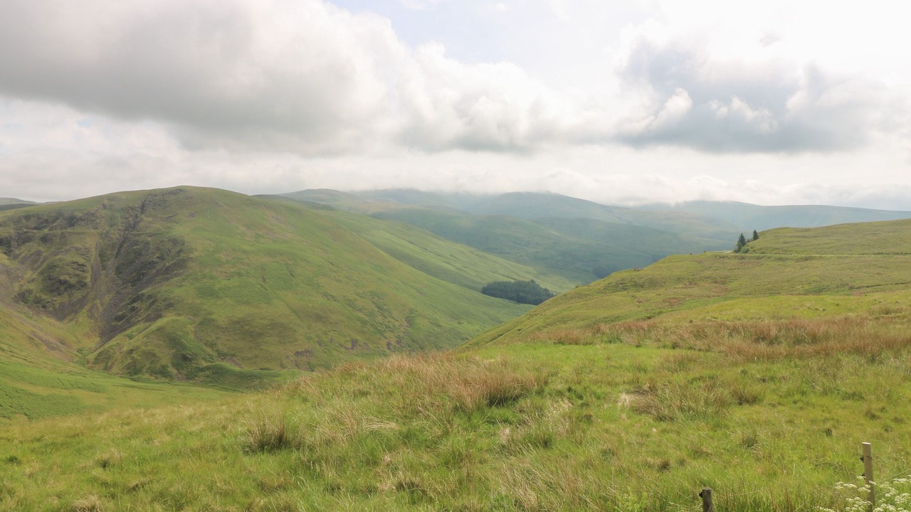 Photo of Others in Moffat