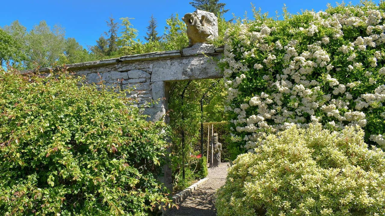 Photo of Outdoor in Forfar