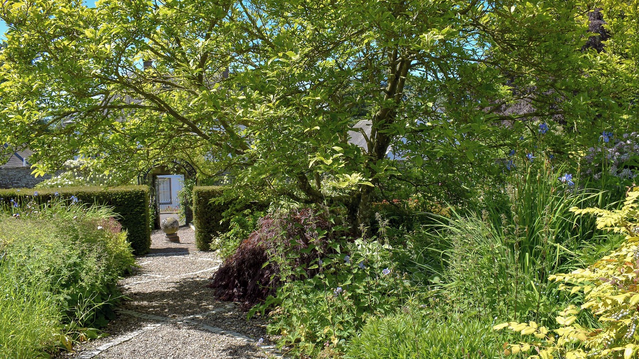 Photo of Outdoor in Forfar