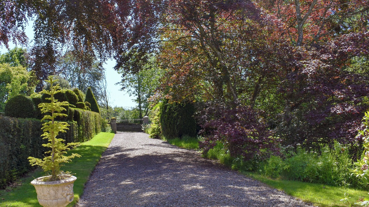 Photo of Outdoor in Forfar